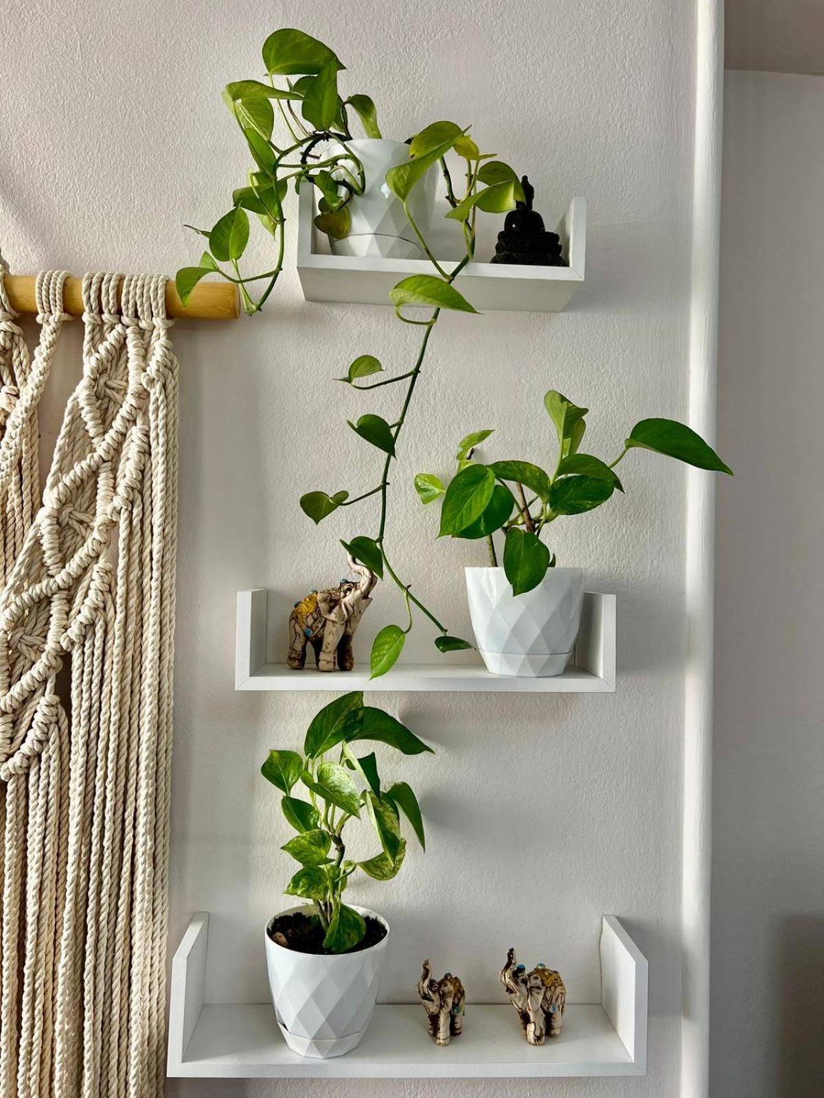 Tirana Center Tourist Apartment 외부 사진